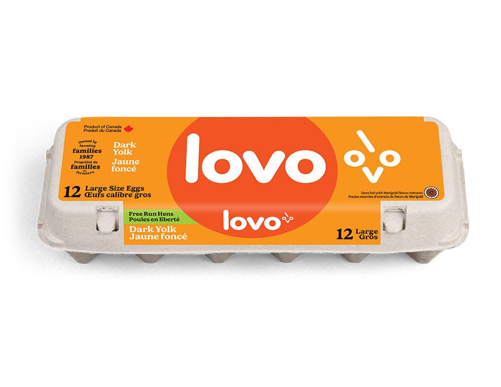 Œufs blancs Poules en liberté Jaune foncé Gros — Lovo Œufs blancs Poules en liberté Jaune foncé Gros — Lovo