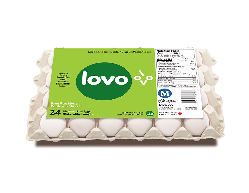 Œufs blancs Poules en liberté Moyen — Lovo Œufs blancs Poules en liberté Moyen — Lovo